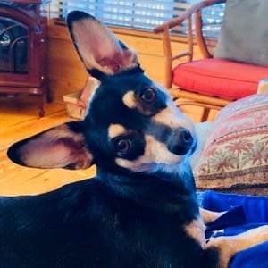 Meet your Posher, Anna